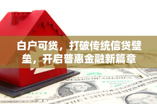 惠东白户可贷，打破传统信贷壁垒，开启普惠金融新篇章