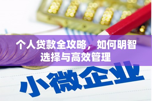 惠东个人贷款全攻略，如何明智选择与高效管理