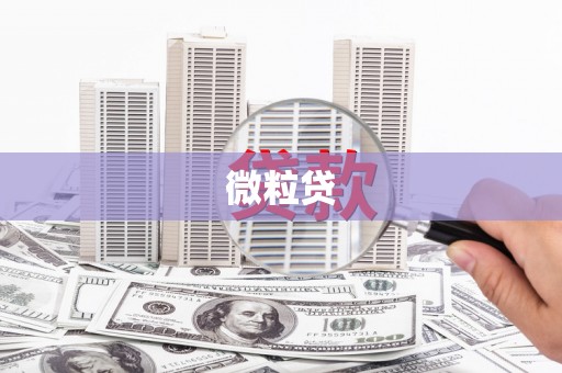 惠东微粒贷
