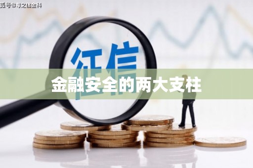 惠东金融安全的两大支柱