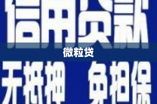 惠东微粒贷