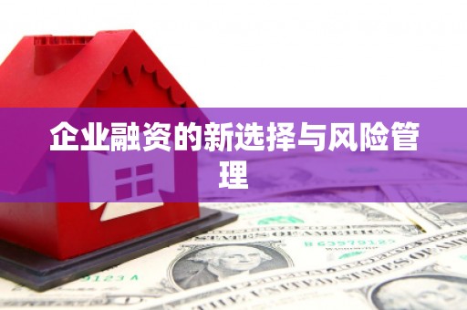惠东企业融资的新选择与风险管理
