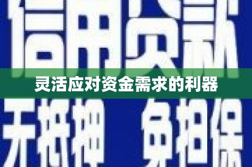 惠东灵活应对资金需求的利器