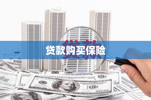 惠东贷款购买保险