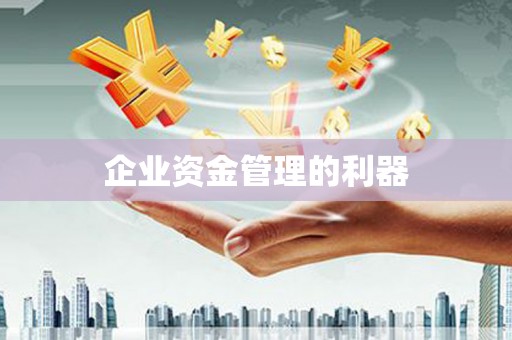 惠东企业资金管理的利器