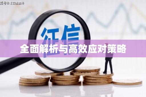惠东全面解析与高效应对策略