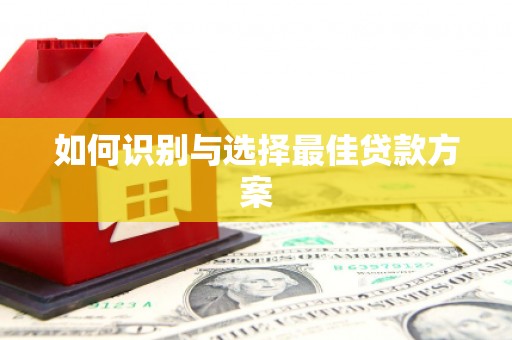 惠东如何识别与选择最佳贷款方案